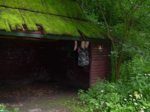 Myślibórz