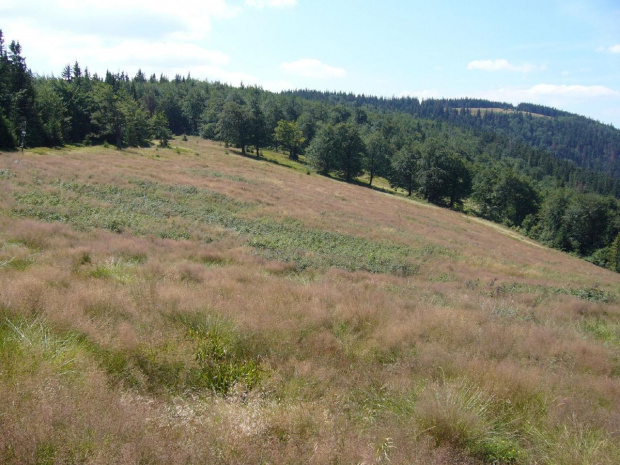 Beskid Żywiecki- Pasmo Jałowieckie. Czerniawa sucha(1062m.n.p.m.), Beskidek(1044),Hala Kamińskiego, Mędralowa(1169) Hala Mędralowa, Jaworzyniec(997). #BeskidŻywiecki #Jałowiec #Mędralowa #HalaKamińskiego #HalaMędralowa #CzerniawaSucha