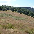 Beskid Żywiecki- Pasmo Jałowieckie. Czerniawa sucha(1062m.n.p.m.), Beskidek(1044),Hala Kamińskiego, Mędralowa(1169) Hala Mędralowa, Jaworzyniec(997). #BeskidŻywiecki #Jałowiec #Mędralowa #HalaKamińskiego #HalaMędralowa #CzerniawaSucha