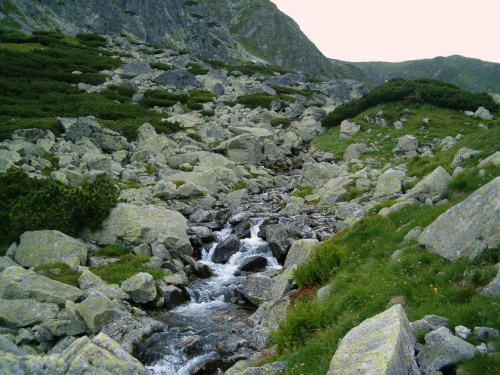 Raczkowy Potok #Tatry