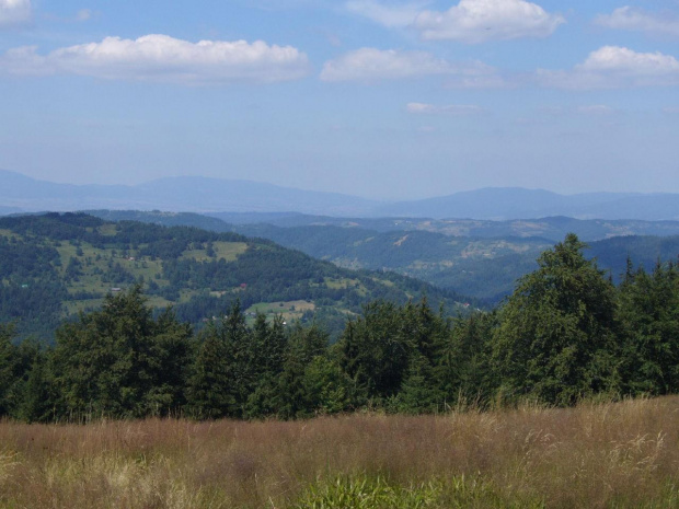 Beskid Żywiecki- Pasmo Jałowieckie. Czerniawa sucha(1062m.n.p.m.), Beskidek(1044),Hala Kamińskiego, Mędralowa(1169) Hala Mędralowa, Jaworzyniec(997). #BeskidŻywiecki #Jałowiec #Mędralowa #HalaKamińskiego #HalaMędralowa #CzerniawaSucha