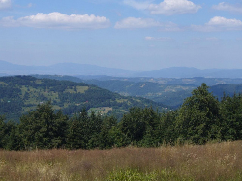 Beskid Żywiecki- Pasmo Jałowieckie. Czerniawa sucha(1062m.n.p.m.), Beskidek(1044),Hala Kamińskiego, Mędralowa(1169) Hala Mędralowa, Jaworzyniec(997). #BeskidŻywiecki #Jałowiec #Mędralowa #HalaKamińskiego #HalaMędralowa #CzerniawaSucha