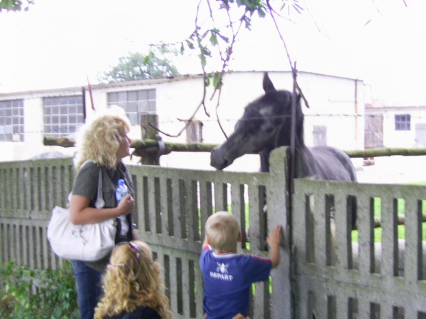 OPALENICA - SIERPIEŃ 2007