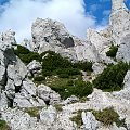 przy szlaku na Siwy Wierch #Tatry