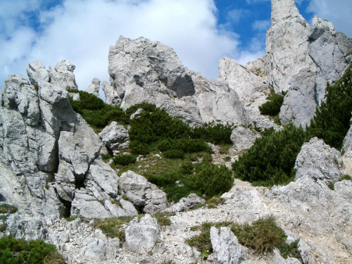 przy szlaku na Siwy Wierch #Tatry