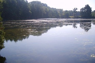 Złoty Potok i okolice #ZłotyPotok