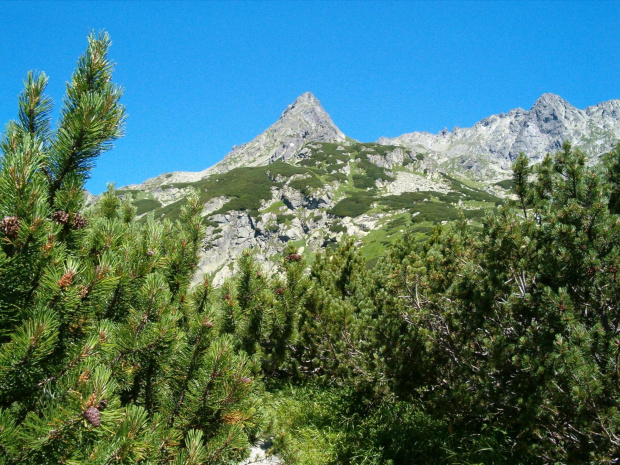 Wołowiec Mięguszowiecki #Tatry