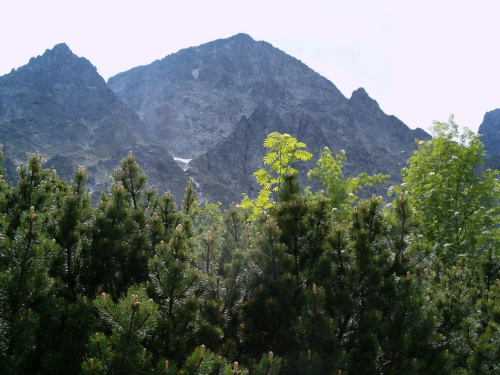 ściana Małego Kieżmarskiego Szczytu #Tatry