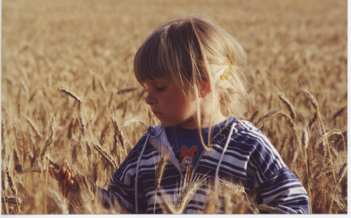 Marysia w zbożu