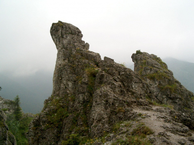 skałki Nosala #Tatry