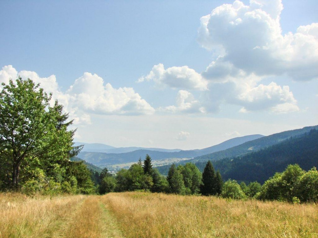 w drodze na Oźną