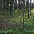 #OkoliceOlsztyna #las #pola #łąki #RezerwatPrzyrody #jezioro #rowery