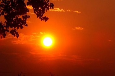 Różności Słonecznego Lata #ZachodzikRóżeSnopki