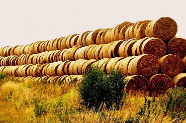 Różności Słonecznego Lata #ZachodzikRóżeSnopki