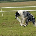 #SopotFrisbee