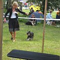 23.VI.2007 #WystawyPsów