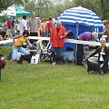 23.VI.2007 #WystawyPsów