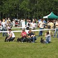 23.VI.2007 #WystawyPsów