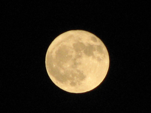 yellow moon #księżyc #moon