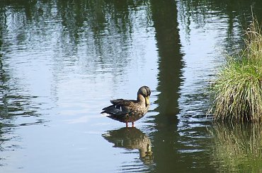 Horyniec 08.2007 #zaz #zap #motocykle #HoryniecKbm #fido