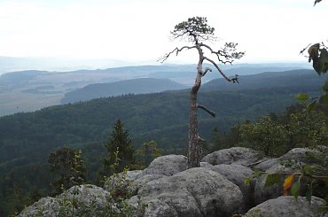 #gory #GoryStolowe #szczeliniec