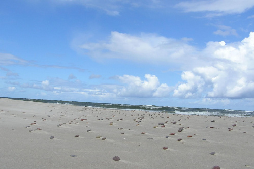 kamyczki na plaży #wakacje #morze #Bałtyk