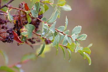 #PrzełomHornadu #SłowackiRaj