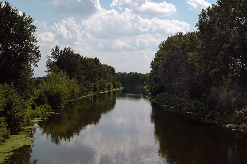 Kładka nad Kanałem Żerańskim.
TAAKA RYBA TAM SIĘ TŁUCZE