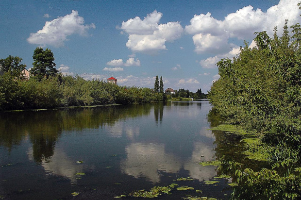 Kładka nad Kanałem Żerańskim.
TAAKA RYBA TAM SIĘ TŁUCZE