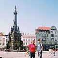 Wystawa kotów Olomouc