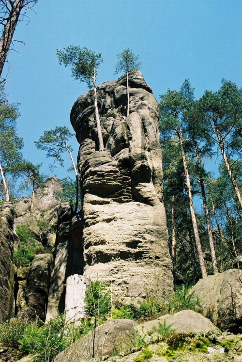 TEPLICKIE SKAŁY- CZECHY