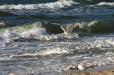 #Bałtyk #morze #Pobierowo