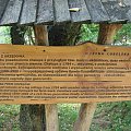 #Lublin #skansen #MuzeumWsiLubelskiej #ŚwiętoChleba #tradycja #historia #region #obyczaj #kultura #sławinek #natura #zieleń #ludowo #chleb #święto #ludzie #niedziela #plener