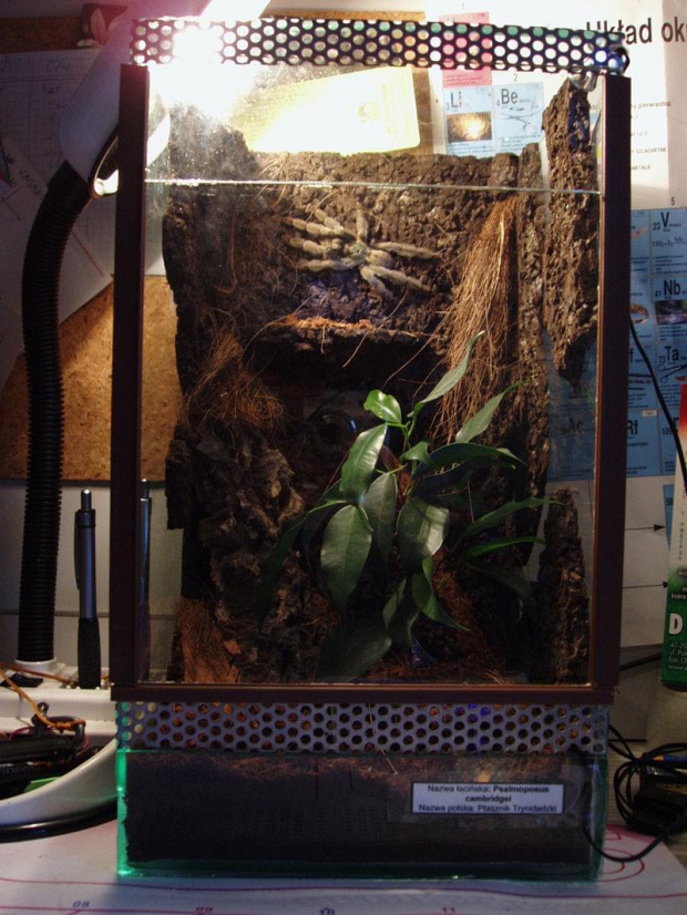 Bercikowe terr p.cambri