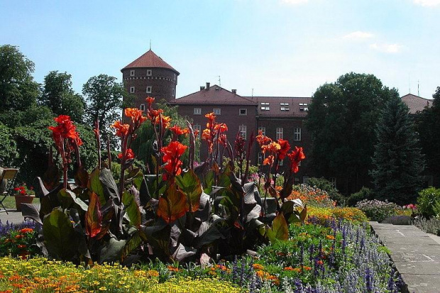 Wawel w kwiatach