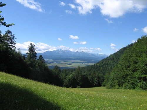 Tatry z Przełęczy Szopka (Chwała Bogu) #Góry #Pieniny
