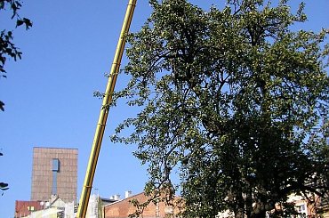 #dźwig #ciężarówka #ciężarowy #samochód #budowa #maszyna #maszyny #budowlana #budowlane #terex #demag