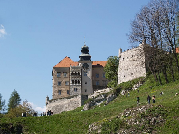 Zamek w Pieskowej Skale