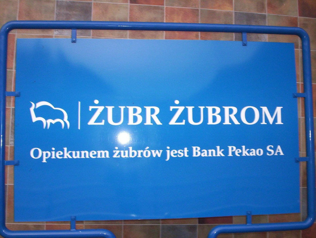 żubr żubrom #tablica