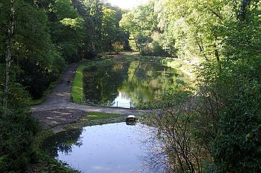 TORUŃ - PARK MIEJSKI I TZW. MARTÓWKA #FaunaIFlora