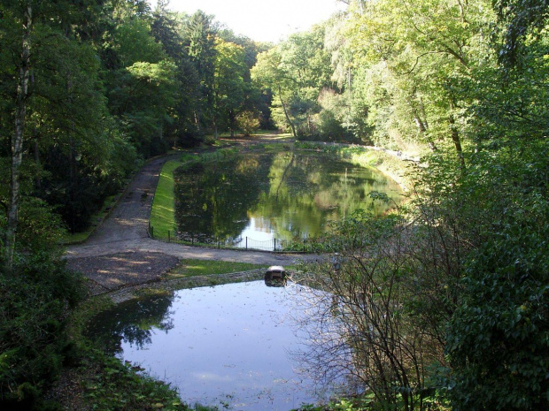 TORUŃ - PARK MIEJSKI I TZW. MARTÓWKA #FaunaIFlora