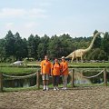 06.08.2007 Rogowo
Park Dinozaurow