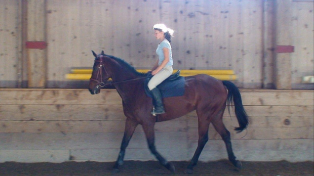 Paulina i Wilson